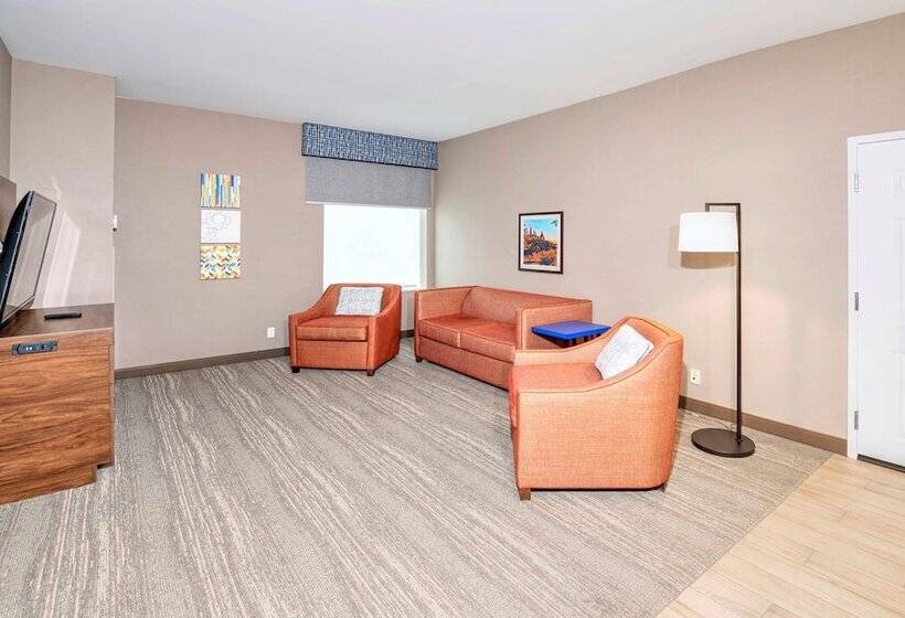 סוויטה, Hampton Inn By Hilton Ottawa