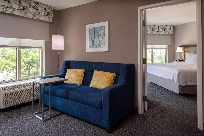 سوئیت با تخت بزرگ, Hampton Inn & Suites Arlington Crystal City Dca
