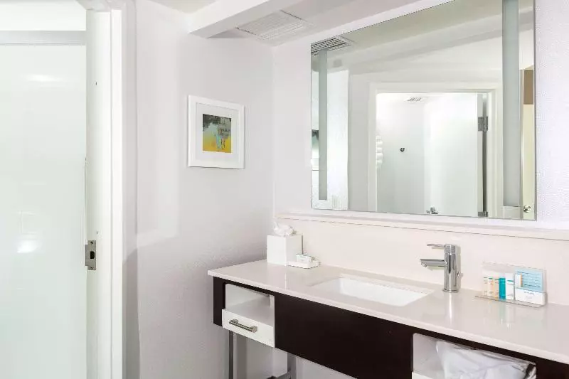 سوئیت با تخت بزرگ, Hampton Inn & Suites Arlington Crystal City Dca