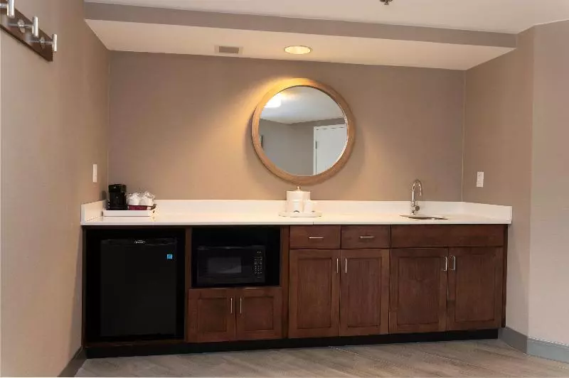 سوئیت با تخت بزرگ, Hampton Inn & Suites Arlington Crystal City Dca