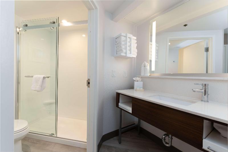 带大床的套房, Hampton Inn & Suites Arlington Crystal City Dca