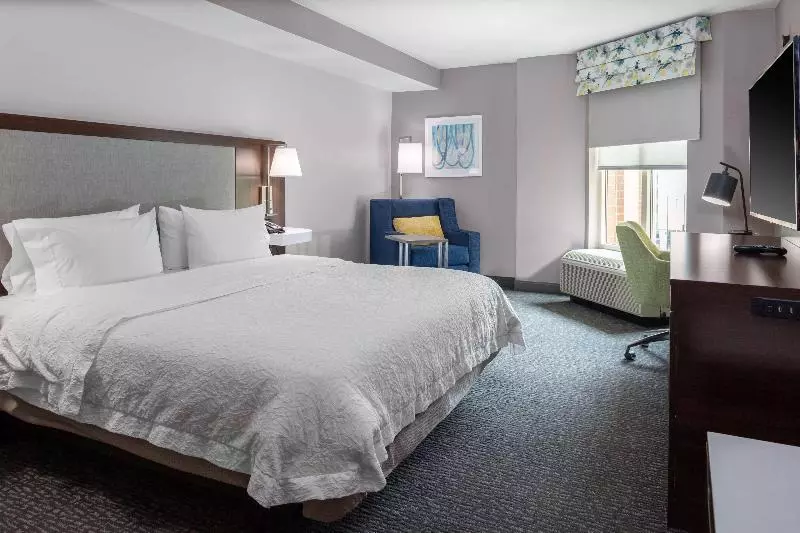 اتاق استاندارد با تخت بزرگ, Hampton Inn & Suites Arlington Crystal City Dca