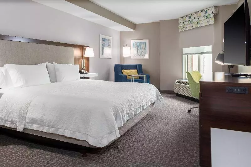 اتاق استاندارد با تخت بزرگ, Hampton Inn & Suites Arlington Crystal City Dca