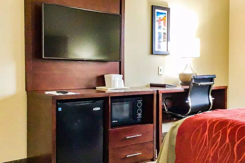 اتاق استاندارد با تخت بزرگ برای معلولان, Hampton Inn & Suites Arlington Crystal City Dca