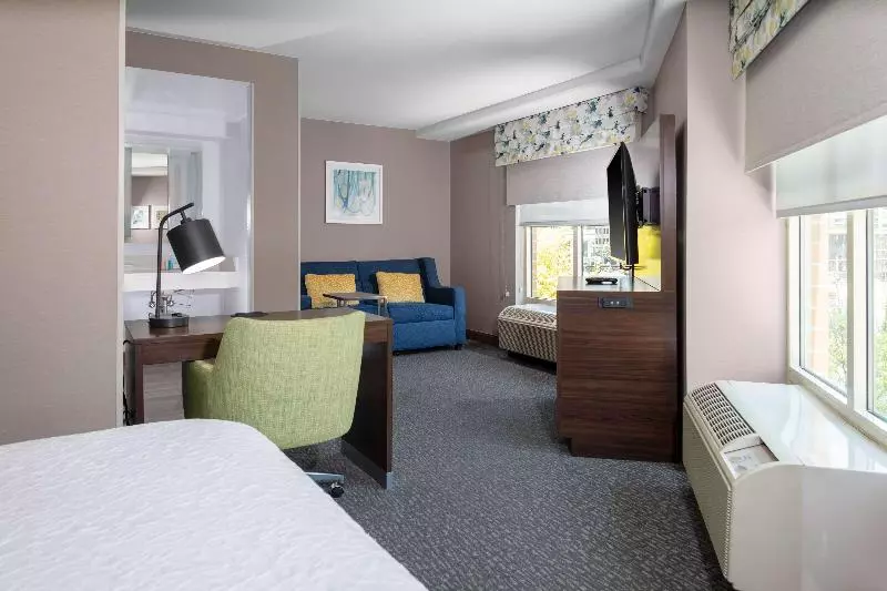 استودیو استاندارد با تخت کینگ, Hampton Inn & Suites Arlington Crystal City Dca