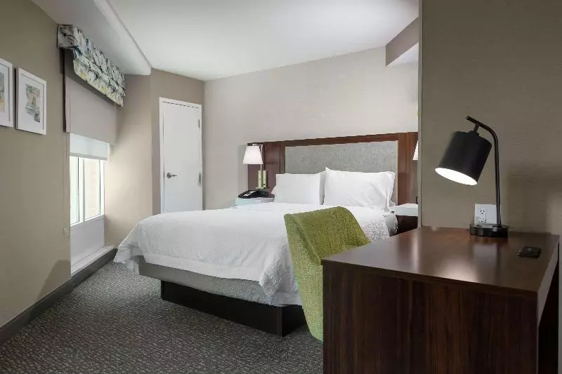استودیو استاندارد با تخت کینگ, Hampton Inn & Suites Arlington Crystal City Dca