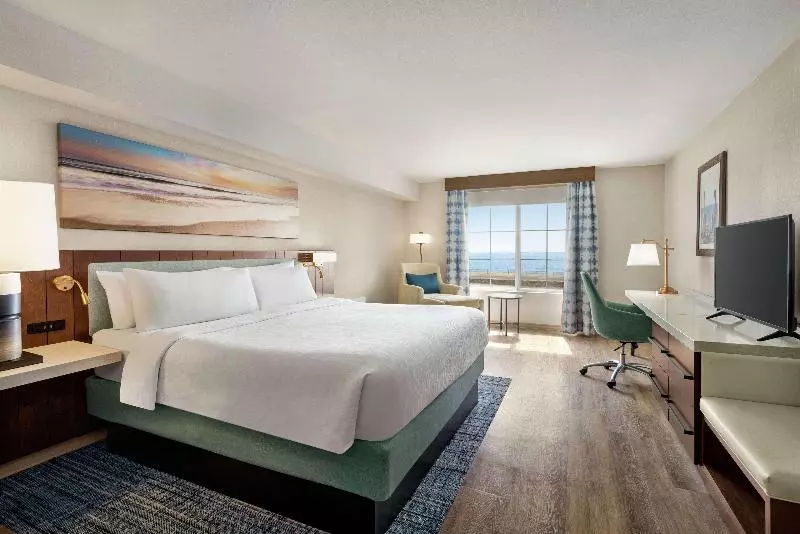 اتاق استاندارد با چشم‌انداز دریا, Hilton Garden Inn Carlsbad Beach