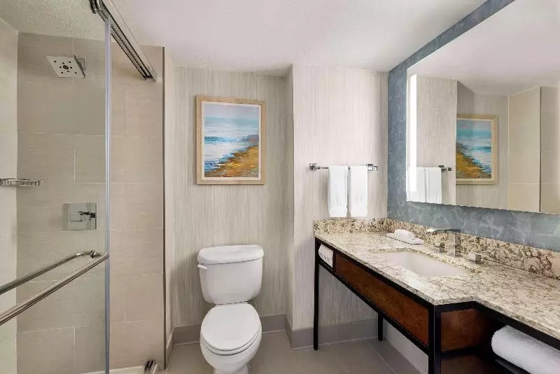 اتاق استاندارد با تخت بزرگ, Hilton Garden Inn Carlsbad Beach