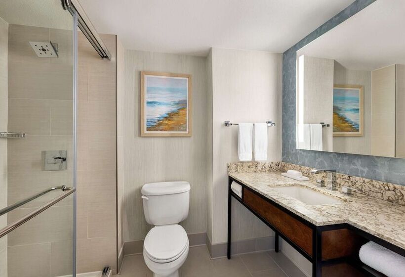 غرفة قياسية, Hilton Garden Inn Carlsbad Beach