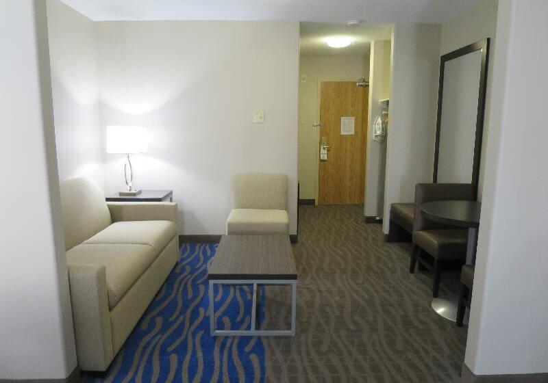 غرفة قياسية سرير كينج, Holiday Inn Hotel & Suites Regina, An Ihg