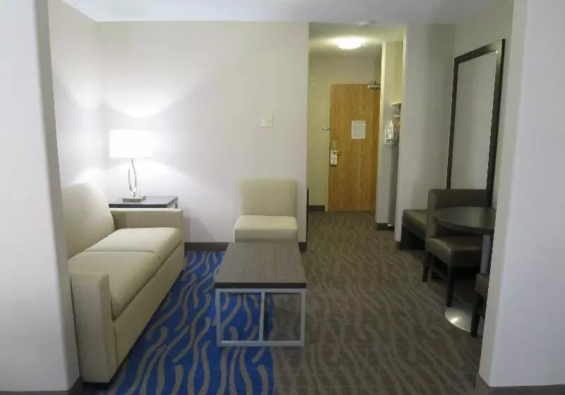 اتاق استاندارد با تخت بزرگ, Holiday Inn Hotel & Suites Regina, An Ihg
