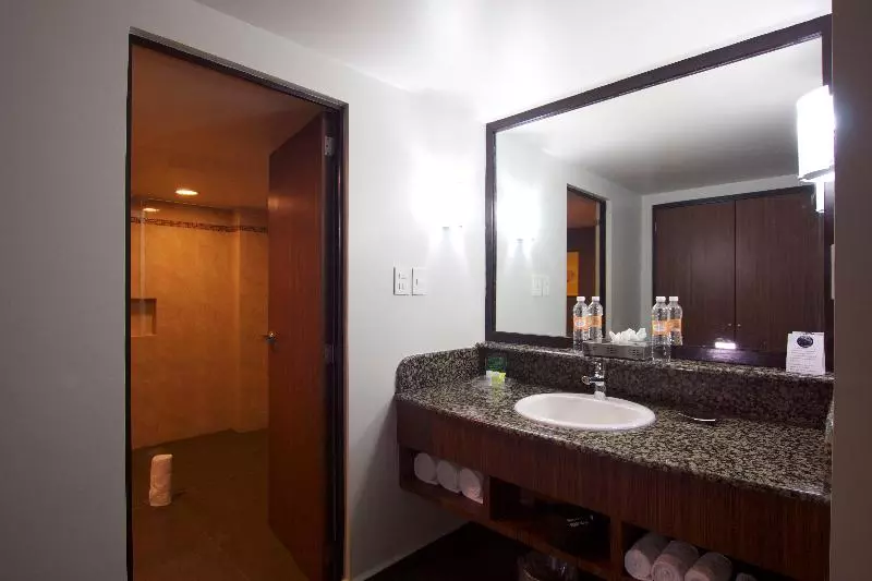 スタンダードルーム, Holiday Inn Mexico City   Trade Center, An Ihg