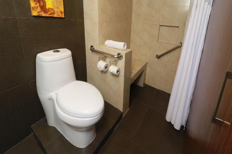 스탠다드 룸, Holiday Inn Mexico City   Trade Center, An Ihg