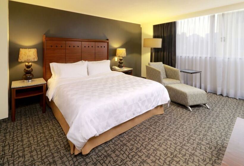 스탠다드 룸, Holiday Inn Mexico City   Trade Center, An Ihg
