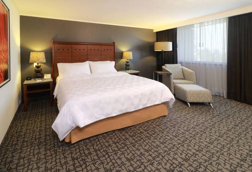 스탠다드 룸, Holiday Inn Mexico City   Trade Center, An Ihg