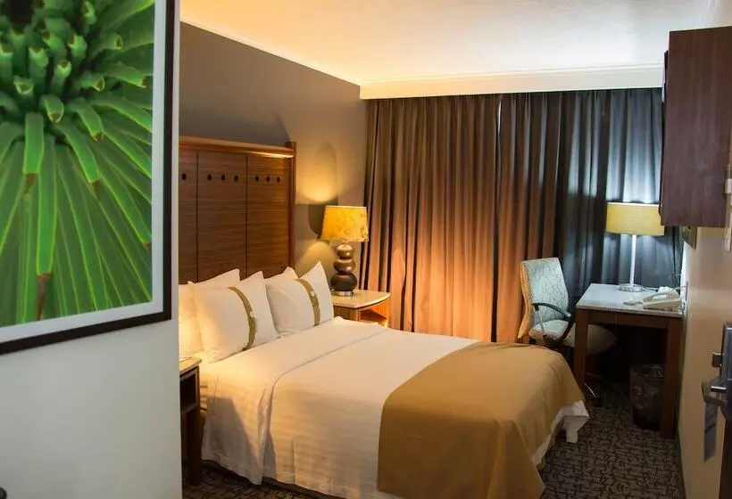 スタンダードルーム, Holiday Inn Mexico City   Trade Center, An Ihg