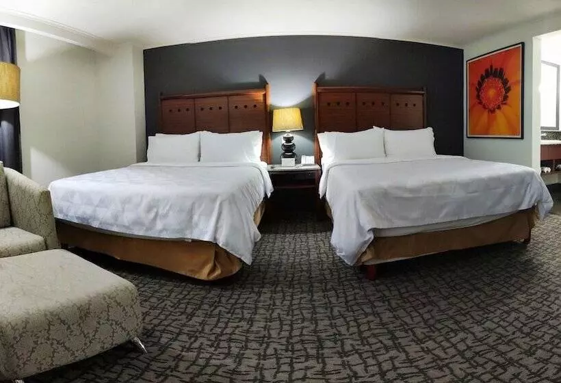 ２ダブルベッドのスタンダードルーム, Holiday Inn Mexico City   Trade Center, An Ihg