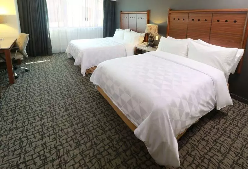 ２ダブルベッドのスタンダードルーム, Holiday Inn Mexico City   Trade Center, An Ihg