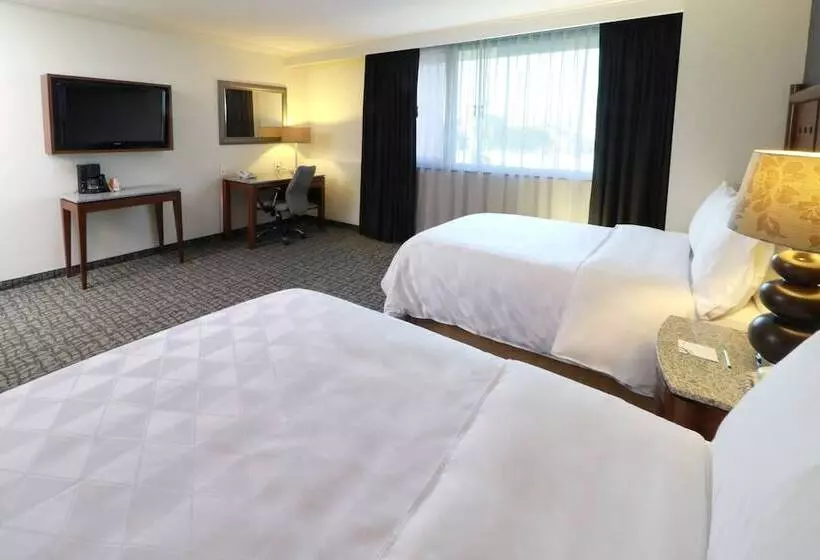 ２ダブルベッドのスタンダードルーム, Holiday Inn Mexico City   Trade Center, An Ihg