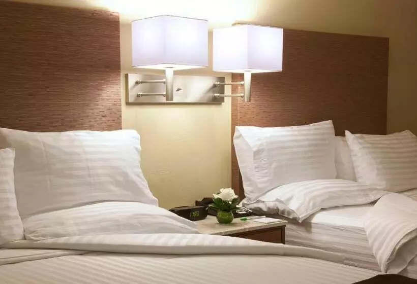 ２ダブルベッドのスタンダードルーム, Holiday Inn Orizaba, An Ihg