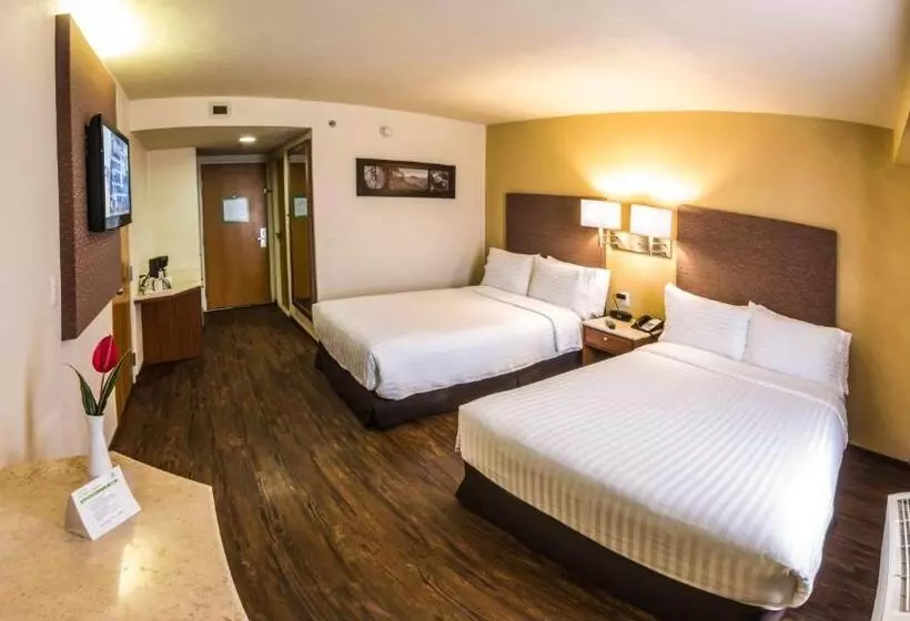 ２ダブルベッドのスタンダードルーム, Holiday Inn Orizaba, An Ihg