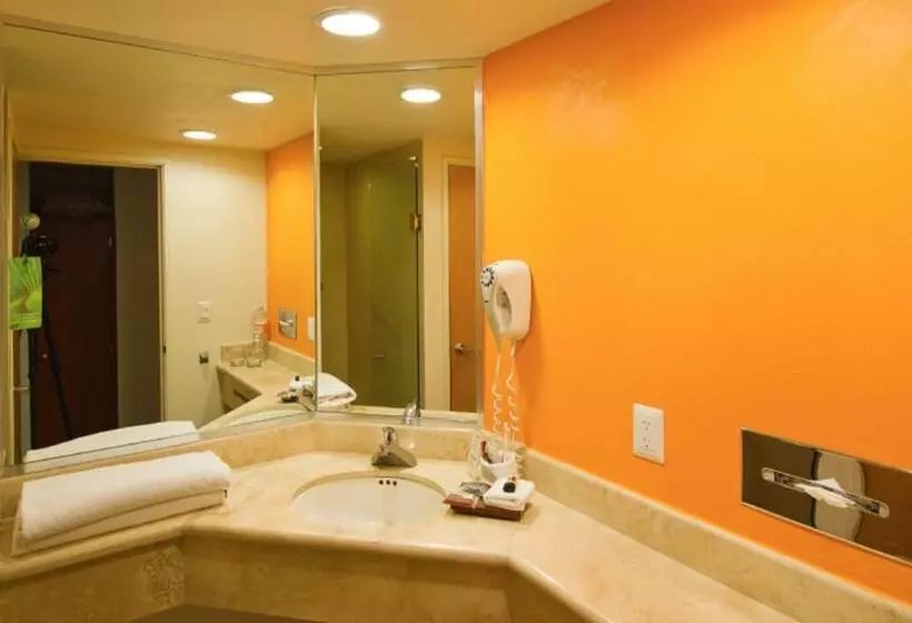 ２ダブルベッドのスタンダードルーム, Holiday Inn Orizaba, An Ihg
