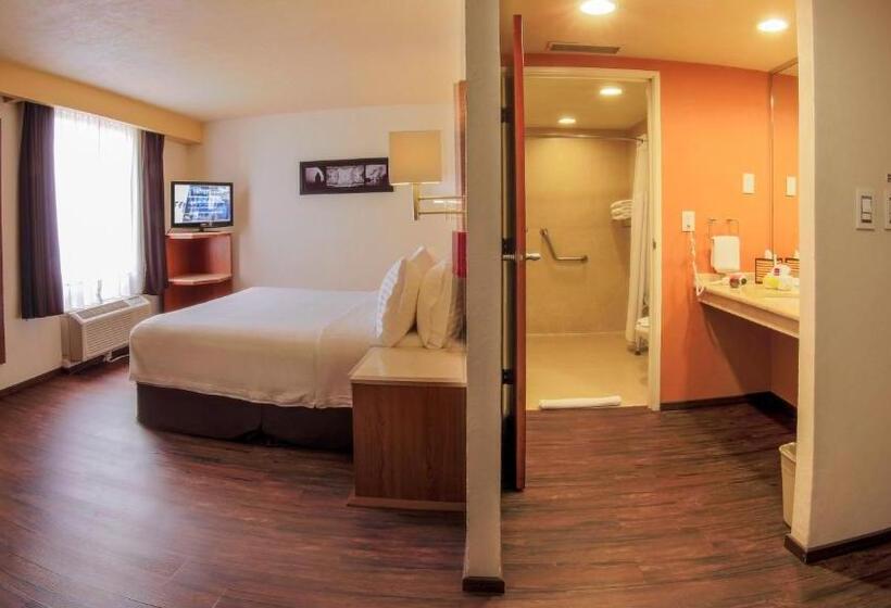 キングサイズベッドのスタンダードルーム, Holiday Inn Orizaba, An Ihg