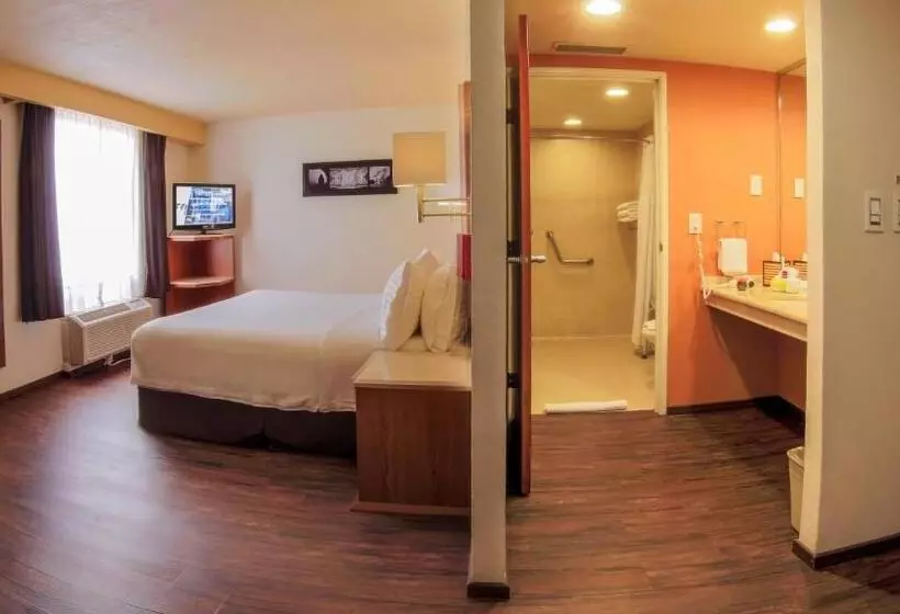 キングサイズベッドのスタンダードルーム, Holiday Inn Orizaba, An Ihg