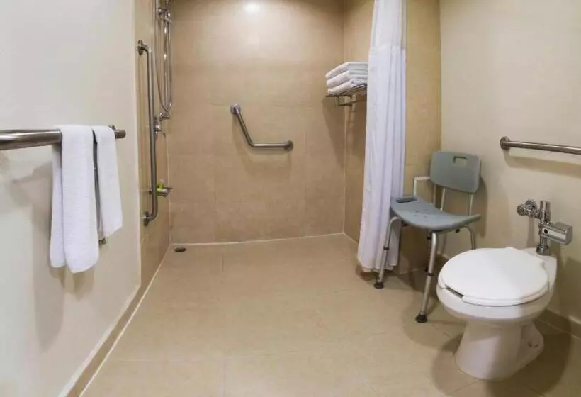 キングサイズベッドのスタンダードルーム, Holiday Inn Orizaba, An Ihg
