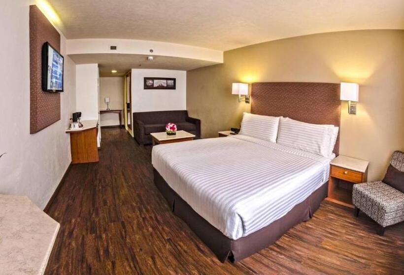 ジュニアスイート, Holiday Inn Orizaba, An Ihg