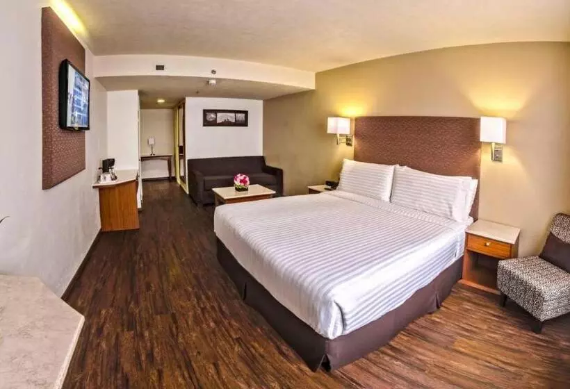ジュニアスイート, Holiday Inn Orizaba, An Ihg