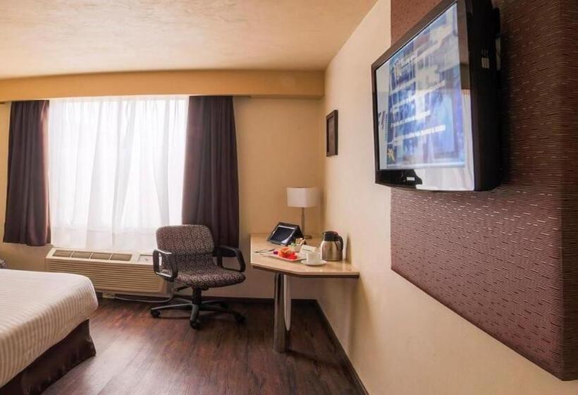 スタンダードルーム, Holiday Inn Orizaba, An Ihg