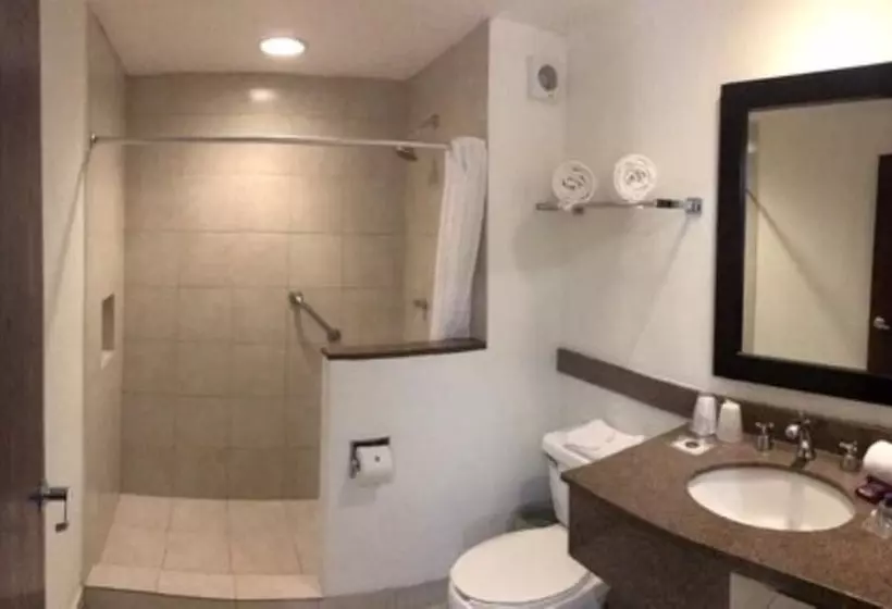 اتاق استاندارد, Hs Hotsson Smart Value Tampico