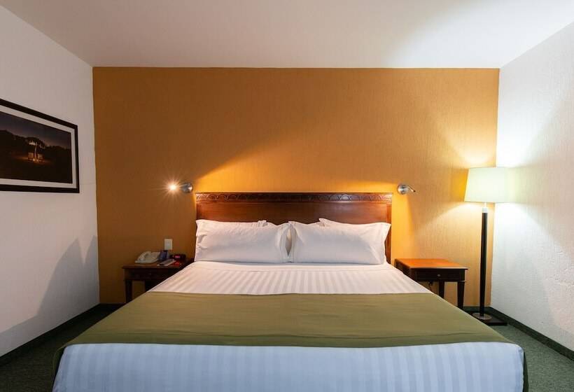 スタンダードルーム, Hs Hotsson Smart Value Tampico