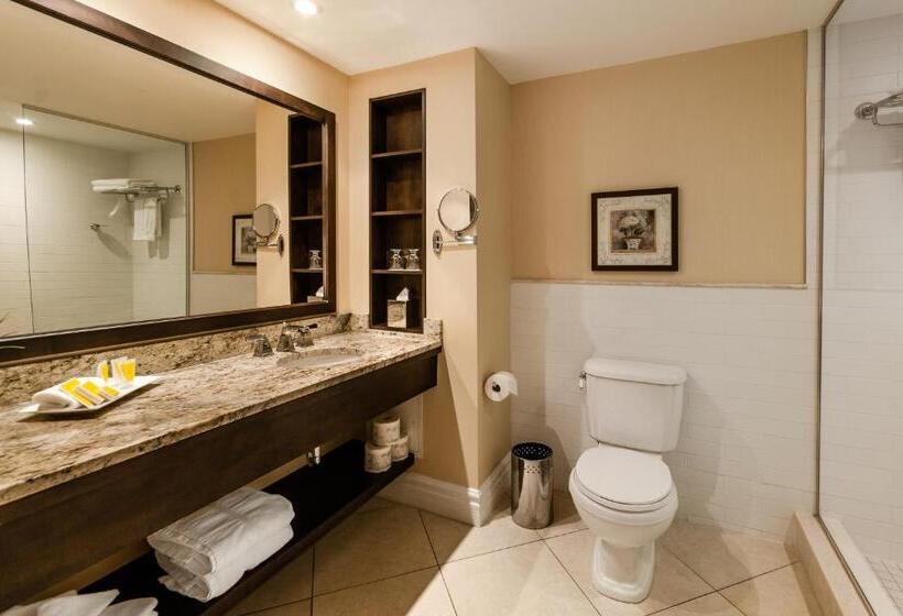 Номер Классика Кровать Кинг, Le St Martin Hotel & Suites