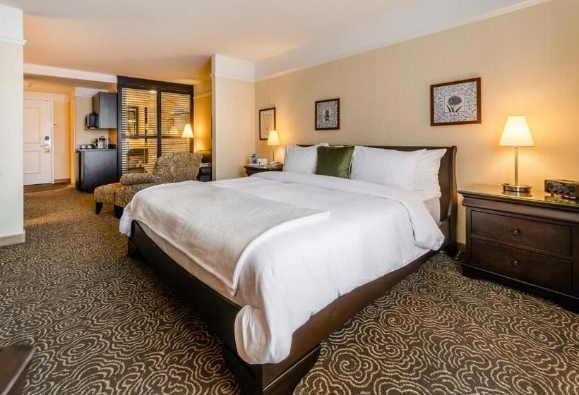 Номер Superior, Le St Martin Hotel & Suites