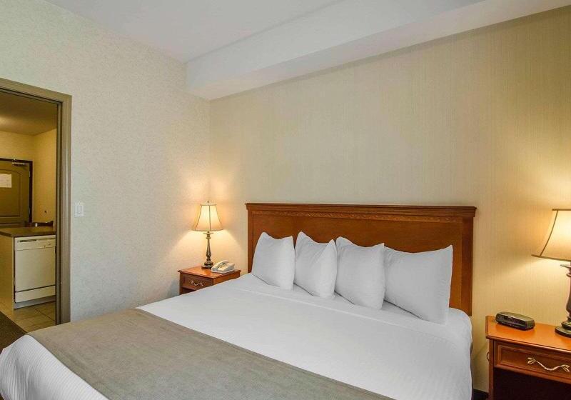 キングサイズベッドのスイートルーム, Quality Inn & Suites