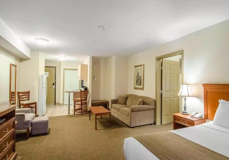 سوئیت با تخت بزرگ, Quality Inn & Suites