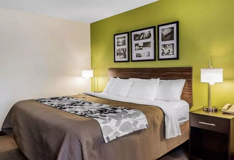 身障者適用スイートルーム, Sleep Inn & Suites Dothan North