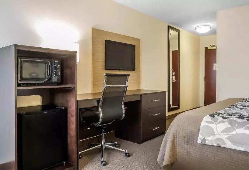 キングサイズベッドのスタンダードルーム, Sleep Inn & Suites Dothan North