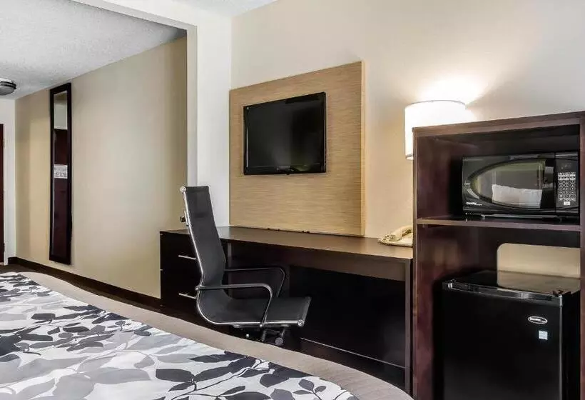 キングサイズベッドのスタンダードルーム, Sleep Inn & Suites Dothan North