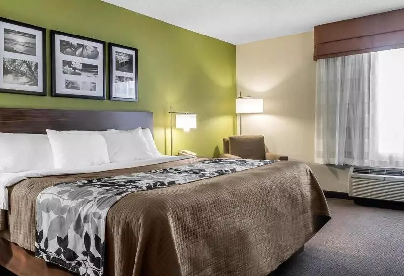 キングサイズベッドのスタンダードルーム, Sleep Inn & Suites Dothan North