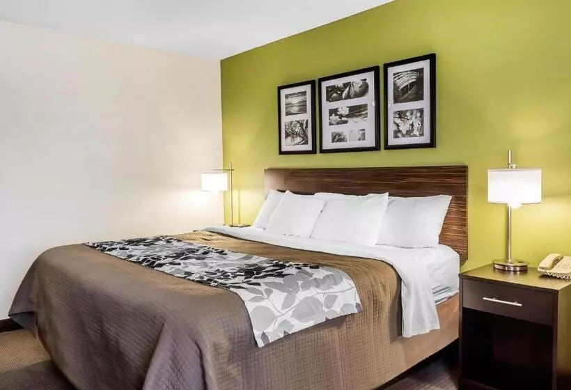 キングサイズベッドのスタンダードルーム, Sleep Inn & Suites Dothan North