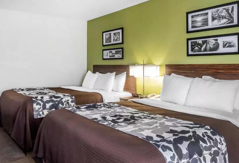 スタンダードルーム, Sleep Inn & Suites Dothan North