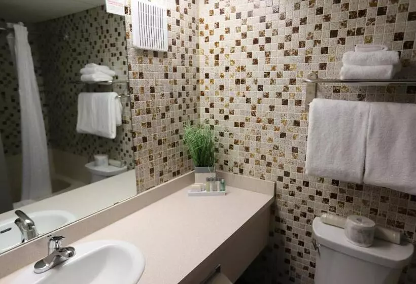 スタンダードルーム, Travelodge by Wyndham Grande Prairie