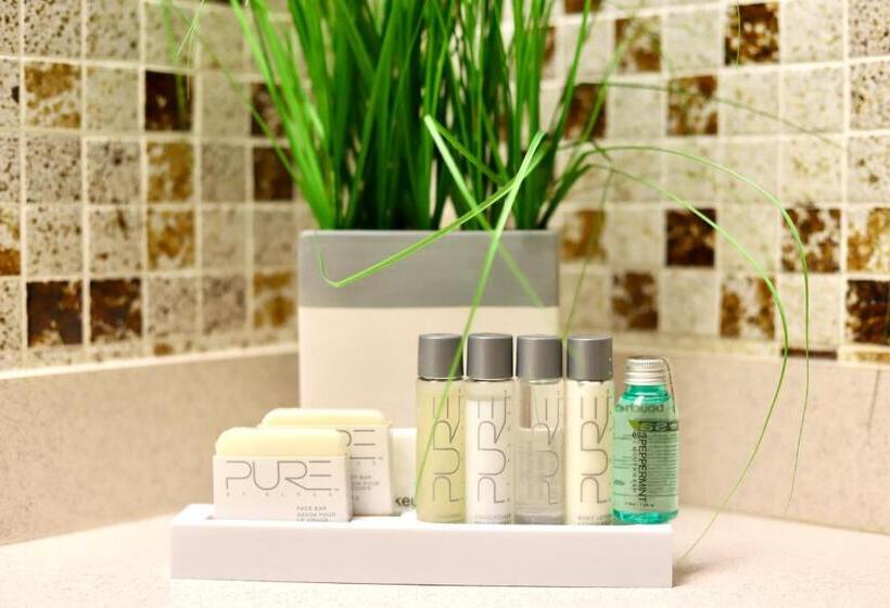 غرفة قياسية, Stanford Inn & Suites