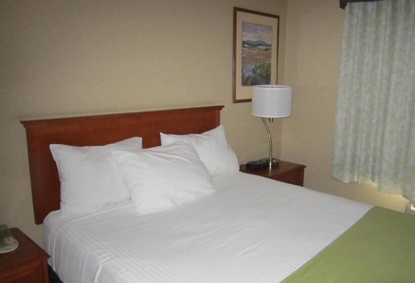 带大床的套房, Super 8 By Wyndham Fort St. John Bc