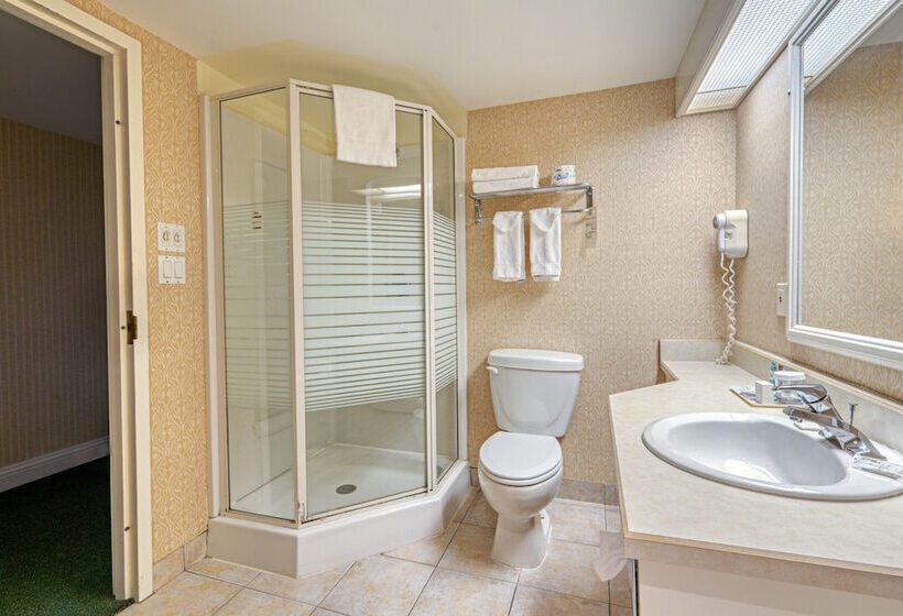 غرفة ديلوكس, The Casablanca