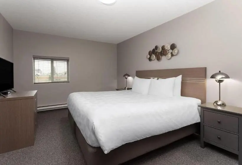 クイーンベッドのデラックスルーム, Travelodge by Wyndham Grande Prairie
