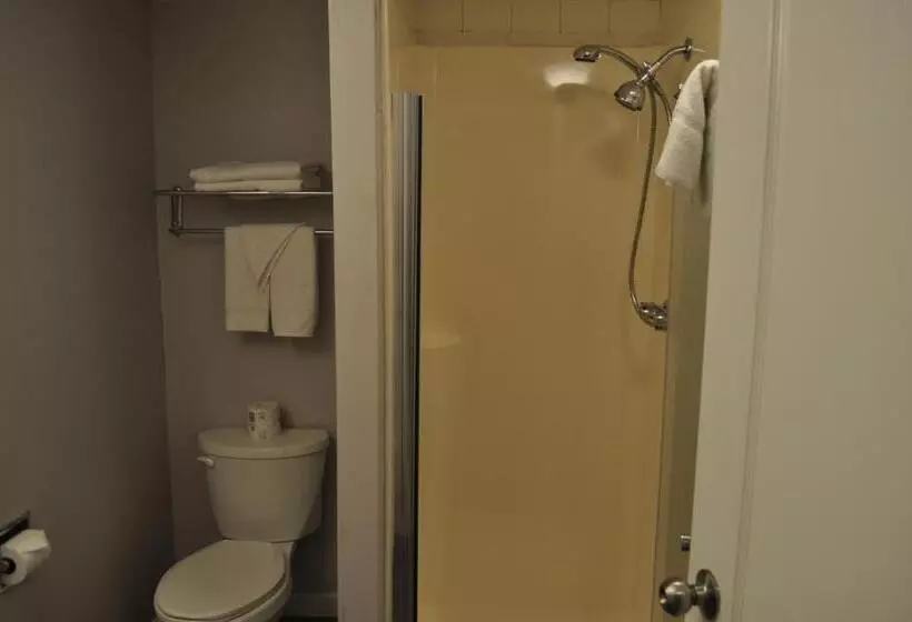 キングサイズベッドのデラックススイート, Travelodge By Wyndham Langley